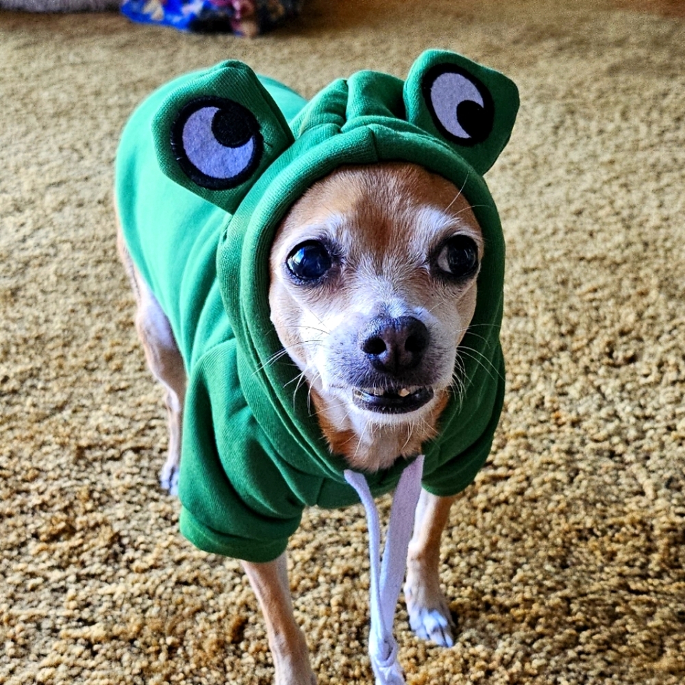 Meet your Posher, Marie